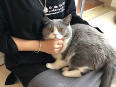 -Catmate·猫肥家润(金润铂宫店)