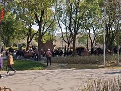 -泰州凤城河风景区-泰山公园