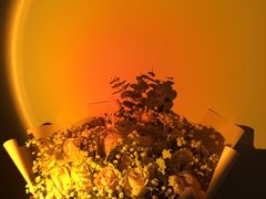 -爱尚幸福鲜花(上地实体店)