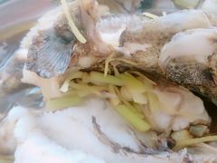 -胜记大排档·台山本地海鲜·台山黄鳝饭