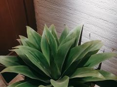 -紫莲花足道(柯桥古镇店)