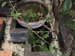 -皇城根茶馆(兴隆都市馨园店)