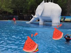 -青年湖公园水上世界