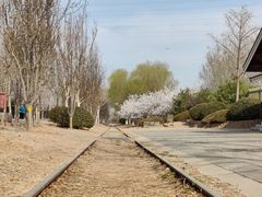 -永定河休闲森林公园