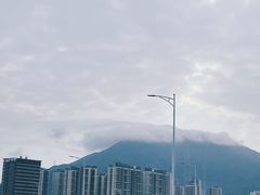 -玫瑰海岸文化旅游度假区