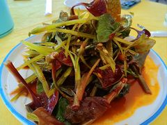 -胖大姐黄辣丁鱼庄(新津店)