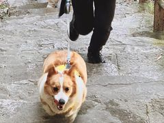 -东南悬空寺方广岩