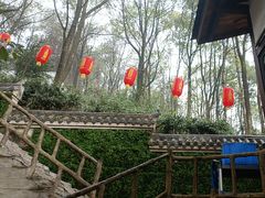 -巴倒烫陆派重庆火锅(南山店)