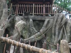 -祥源·阜阳生态乐园