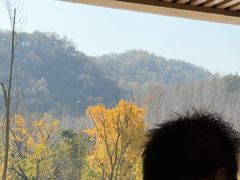 -千年银杏谷文化旅游区