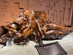 -乐山乌木文化博览苑