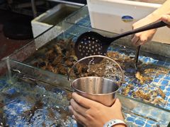-争先鲜·蒸汽海鲜自助·鲜切牛肉