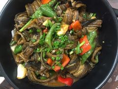 -龙小海荆沙鸽子店(瑞安街店)