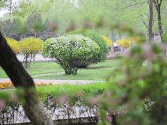 -辽宁大学(崇山校区)