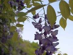 -南国桃园旅游度假区