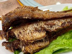 -瑞福园联谊餐室(茂名南路店)