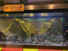 -御池园(顾村公园店)
