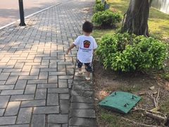 -北京师范大学(珠海校区)