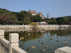 -顺峰山公园