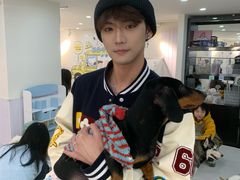 -汪说·狗咖·拼豆·宠物周边DIY(旺城大厦店)