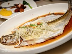 传统清蒸大白鱼-淮扬府(安定门店)