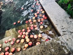 -深业半汤御泉庄温泉