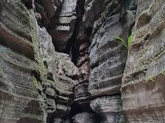 -梭布垭石林景区