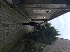 iphone_upload_pic-扬美古镇景区