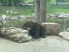-北京野生动物园