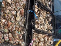 -海鲜e族(马王堆店)