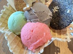 -陕拾叁-西安糕点(北院门创始店)