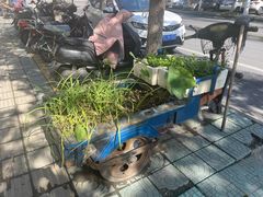 -面艺世家(驸马街店)