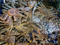 帝王蟹-79号渔船海鲜饭店(华强北店)