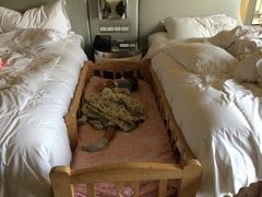 温德姆至尊酒店-青岛银沙滩温德姆至尊酒店