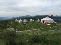 -空中草原