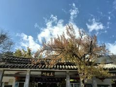 -蝴蝶泉公园