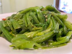清炒水性杨花-紫滇源云南生态菜(丹凤街店)