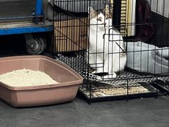 -王裕興肉莊(南禅寺店)