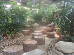 -三江森林温泉度假区