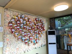 -柴犬高等学院·狗咖·柴犬售卖·宠物训练