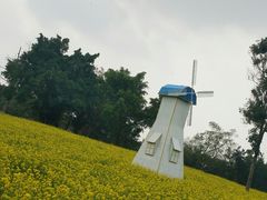-南宁花花大世界景区