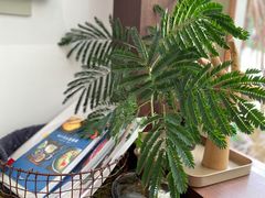 -肥朵食堂(带梦胡同店)