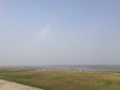 -南汇嘴观海公园