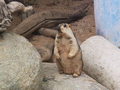 -泉州海丝野生动物世界