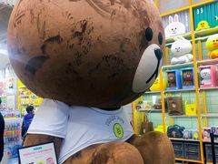 -line friends(明洞旗舰店)