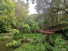 -紫霞湖公园