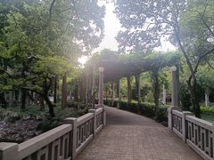 -叶家花园