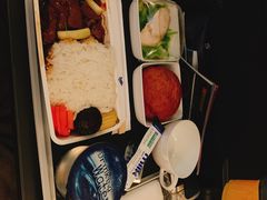 -新加坡航空公司(ION)