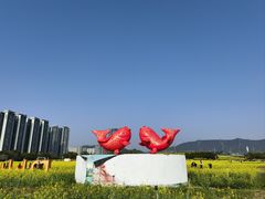 -光明小镇欢乐田园