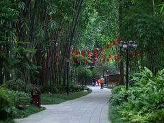 -望江楼公园